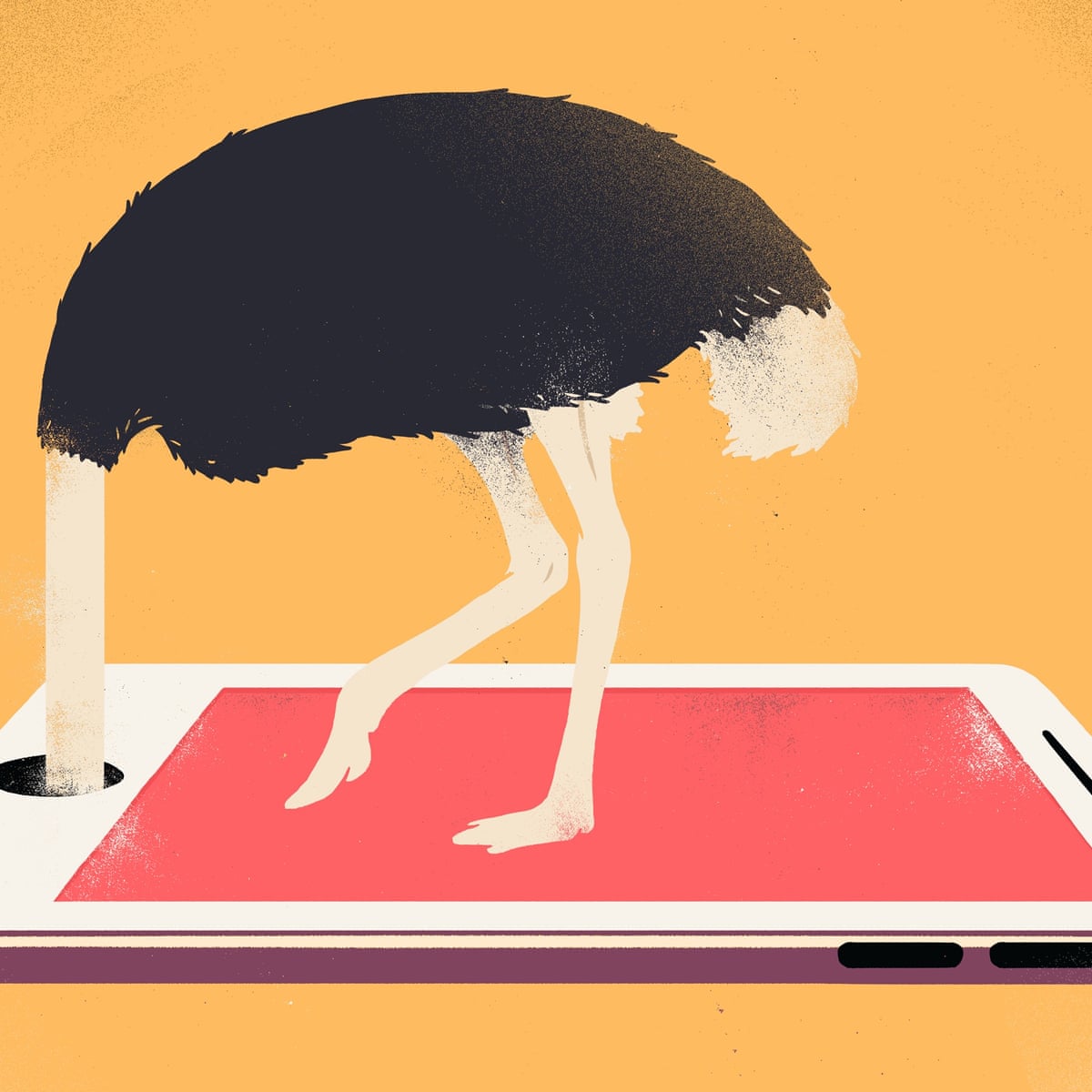 To Survive Our High Speed Society Cultivate Temporal Bandwidth