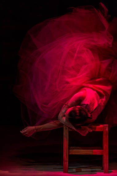 Carnation by Rocío Molina.