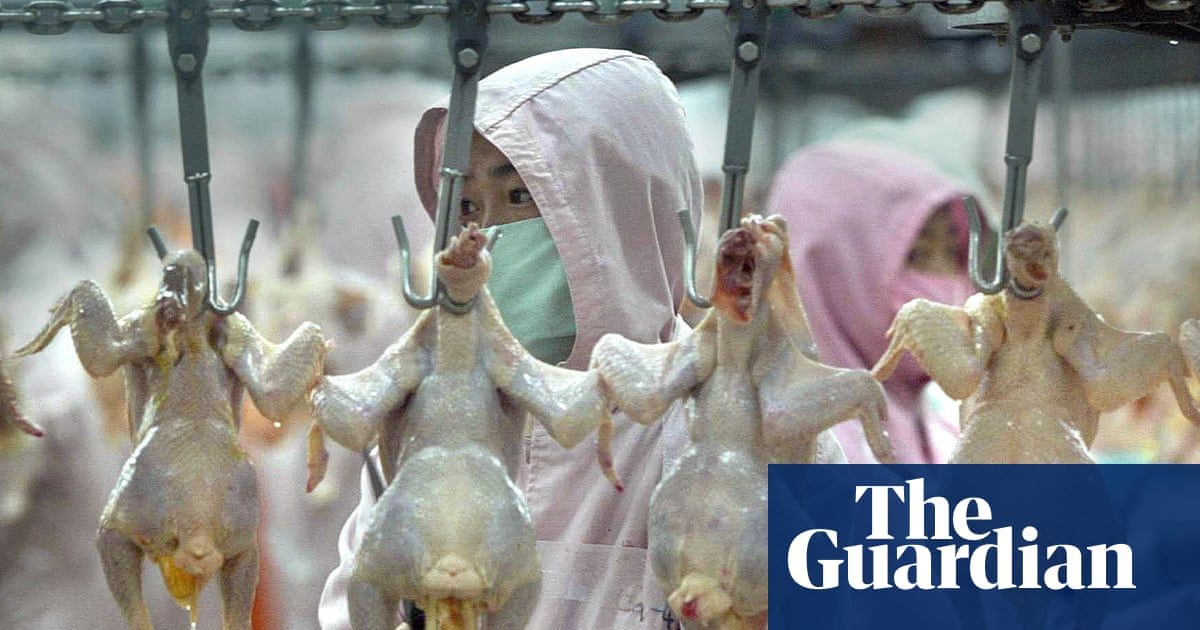 How The Chicken Nugget Became The True Symbol Of Our Era