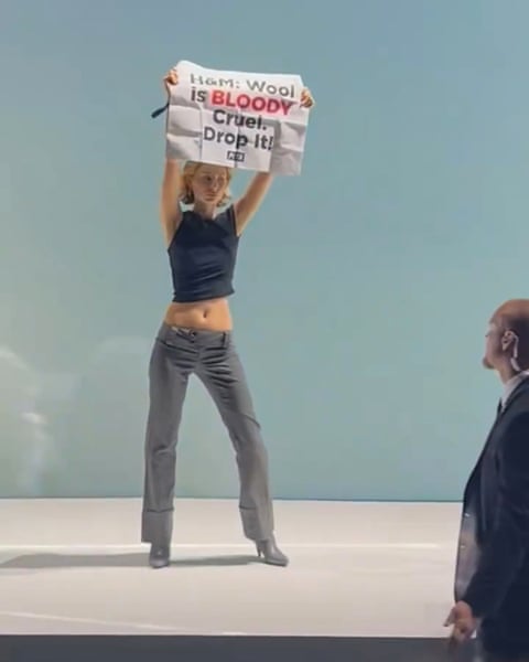a woman holds a sign that reads 'H&M wool is bloody cruel drop it'