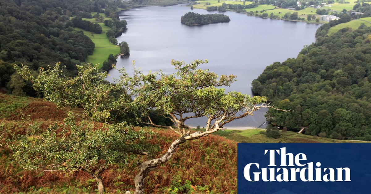 Labour says UK nature under threat and pledges to halt decline | Green politics | The Guardian