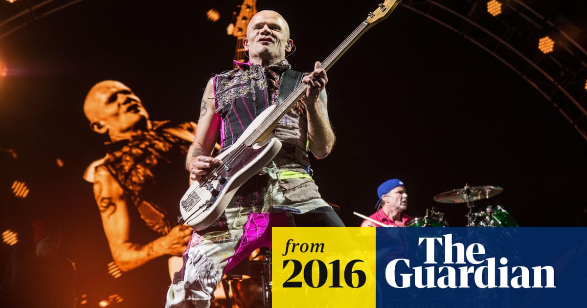Rock music is dead, says Red Hot Chili Peppers' bassist | Hot Chili | The Guardian