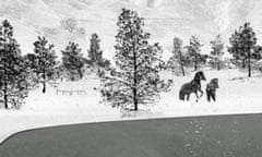 24 FRAMES
film still
Abbas KIAROSTAMI