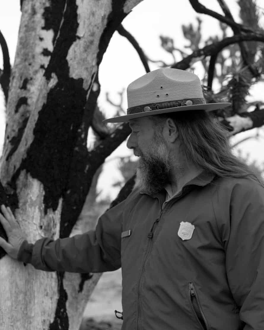 A person wearing a ranger hat strokes burnt tree bark