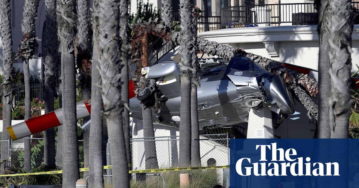Helicopter spins out of control into palm trees at popular California beach