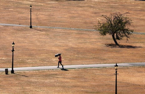 A woman walking through Primrose Hill with an umbrella.