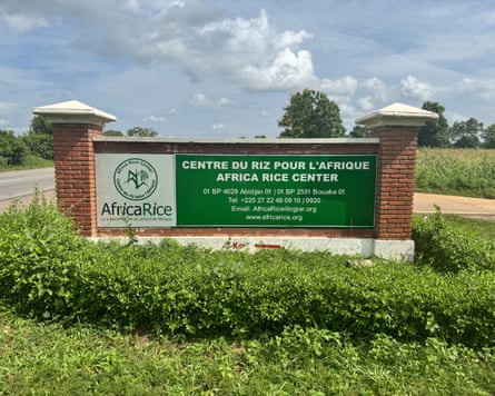 Sign outside the main Africa Rice campus