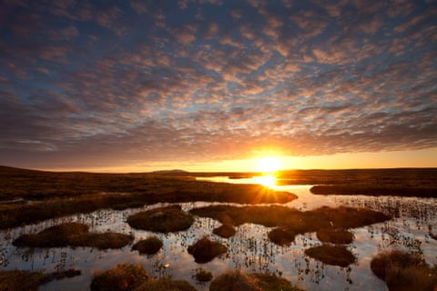 Pools and bog peatland at dawn, Flow Country, Scotland