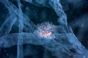 Nature Art category winner:Trapped by Andrea Pozzi (Italy) Small fish stuck in the ice Lake Baikal