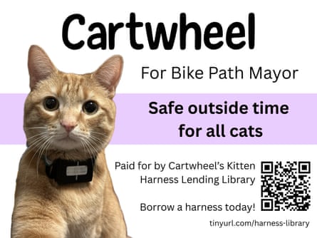 Cartwheel – a pic of a ginger cat on a campaign poster reading For Bike Path Mayor
