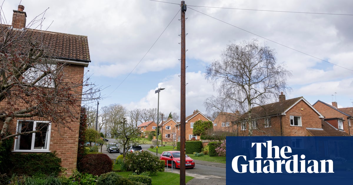 Bournville residents threaten legal action over broadband telegraph poles | Birmingham