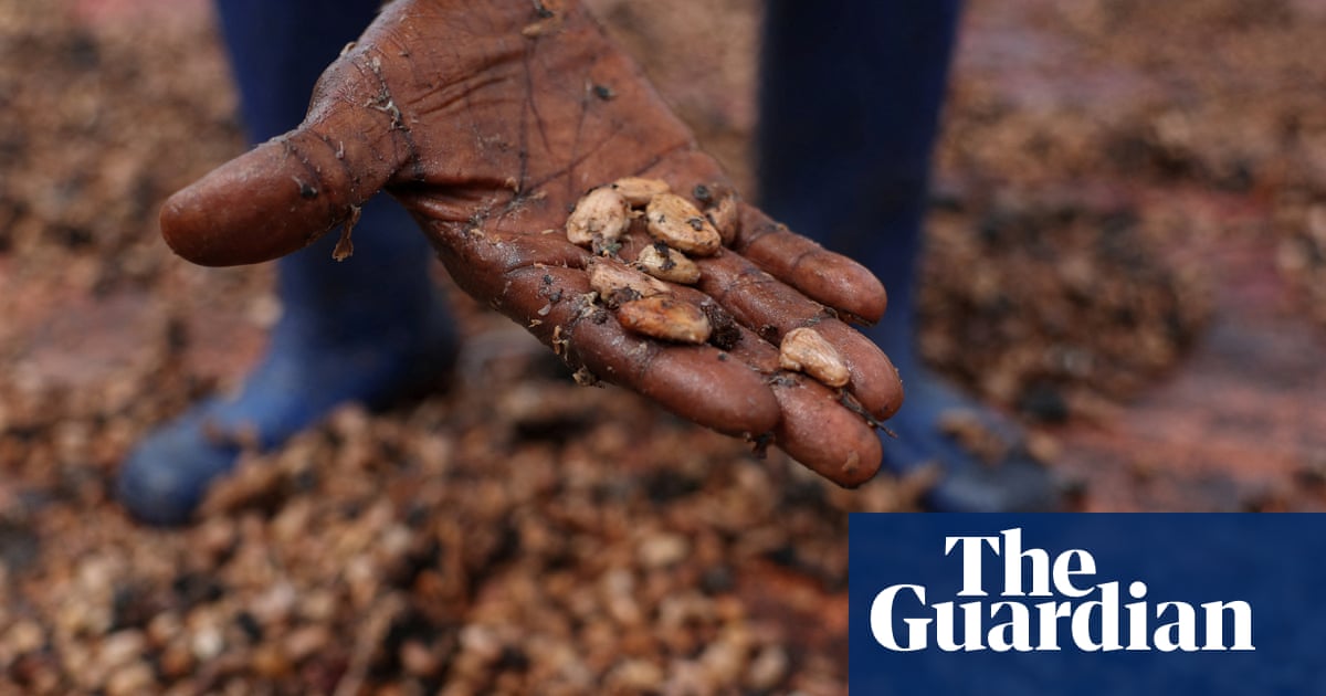 EU's chocolate crisis' worsened by climate breakdown, researchers warn
