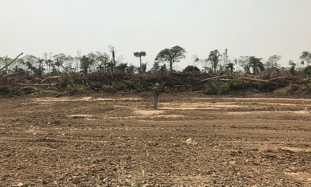 Archaeologist Umberto Lombardo in a deforested field in Grünland.