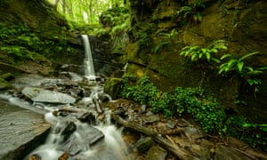 A waterfall in Fairy Glen between Parbold and Appley Bridge.