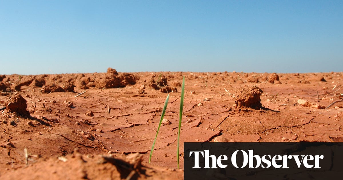 Saving Us by Katharine Hayhoe review – across the climate crisis divide