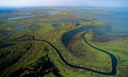 An aerial view of Wood Buffalo national park.