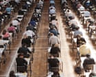 Sunak is right that our students need financial literacy – but that shouldn’t mean yet more maths | Simon Jenkins