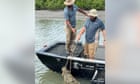 Huge crocodile captured in north Queensland marina after lunging at man on houseboat and snatching dog