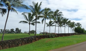 Zuckerberg’s estate.