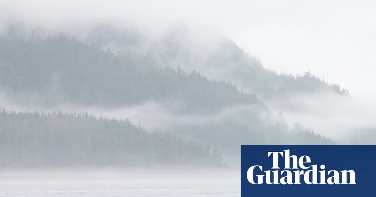 Orcas could be casualty in Carney’s push for pipeline, environmental groups fear