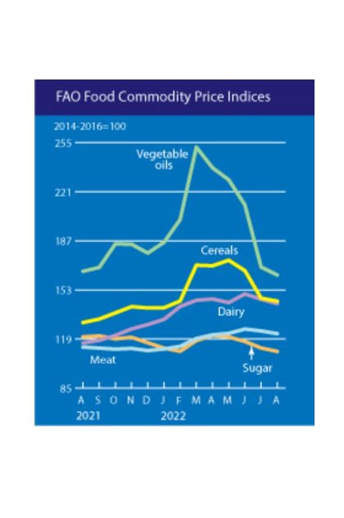 UN world food index
