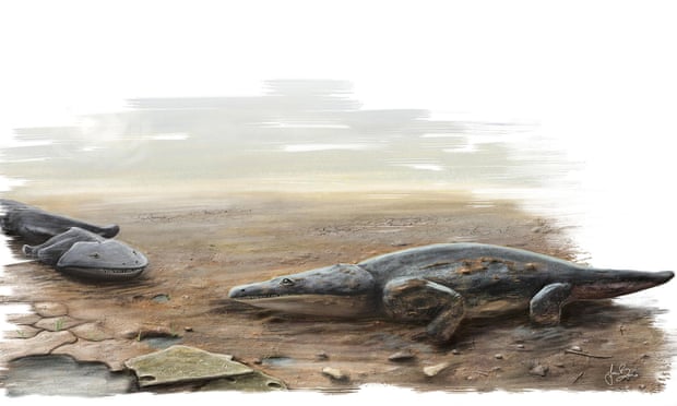 An artist’s impression of the giant carnivorous amphibian <em>Metoposaurus algarvensis, </em>discovered by researchers from the University of Edinburgh