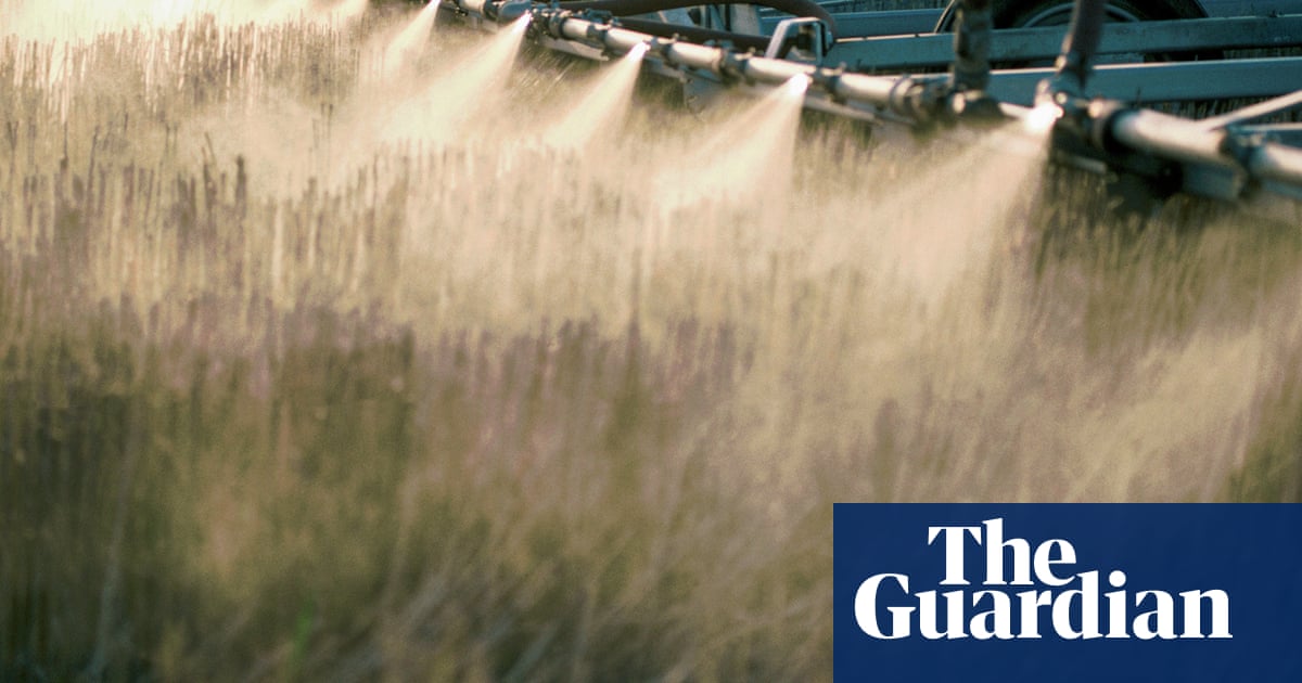 Weedkiller ingredient widely used in US can damage organs and gut bacteria, research shows | Herbicides Weedkiller ingredient widely used in US can damage organs and gut bacteria, research shows | Herbicides
