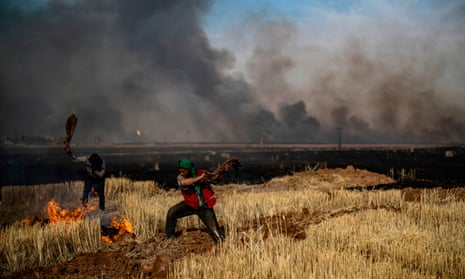 People battle a blaze in an agricultural field, in the breadbasket Hasakeh province near the Syrian-Turkish border