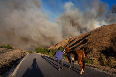 A man evacuates horses as the Easy Fire approaches on October 30, 2019 near Simi Valley, California.