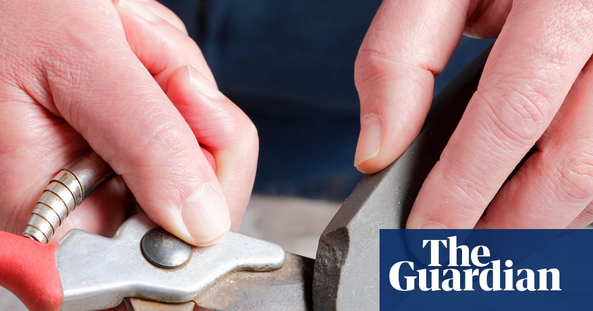 Winter is the ideal time to give your gardening tools some TLC. Here’s my step-by-step guide