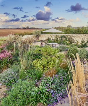 How To Fix Shady Gardens Or Hide The Bins Tips From Chelsea Stars