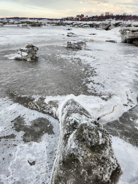 snow covers the tail of a dead fin whale on a beach