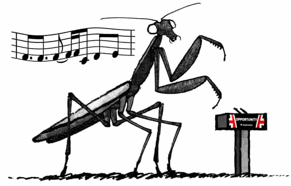 Illustration by David Foldvari of Theresa May as a dancing praying mantis