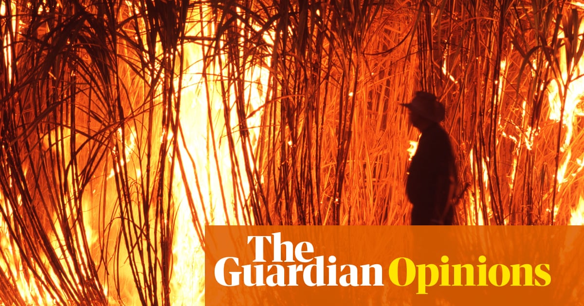 Burning canefields, empty highways and north Queensland feet – is that life?