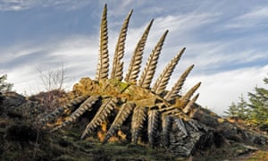 Some Fern sculpture by Kerry Morrison at Grizedale Forest Park