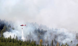 Firefighters battle a blaze in a forest in western Sweden, the worst hit country