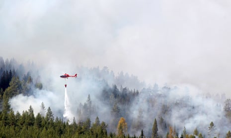 Firefighters battle a blaze in a forest in western Sweden, the worst hit country