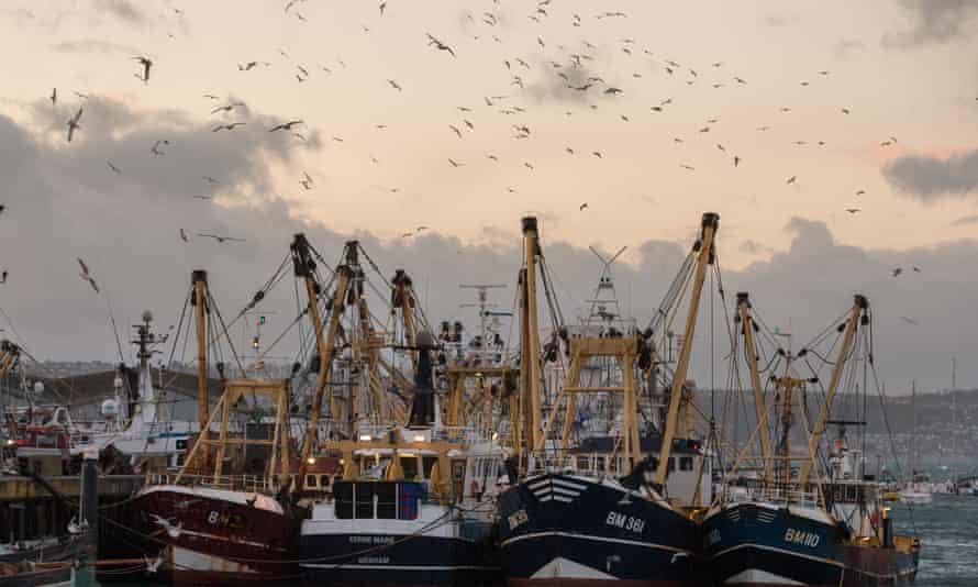 Fiskebåtar ligger förtöjda vid Brixham Harbor