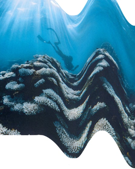 A graphic showing a distorted image of a scuba diver above a coral reef