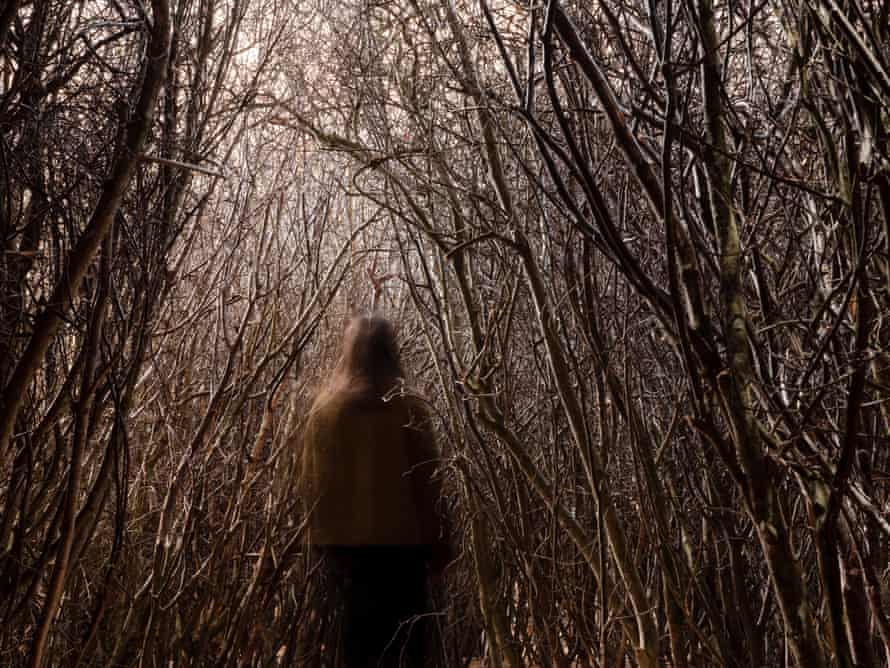 The Forked Forest Path by Olafur Eliasson at Fabrica, Brighton.