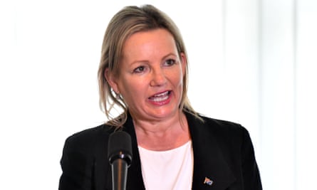 The federal environment minister, Sussan Ley