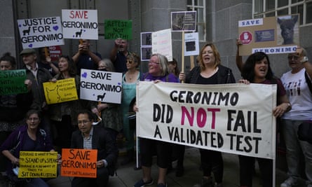 Animal rights protesters outside Defra’s offices in London in August 2021 protesting in support of Geronimo