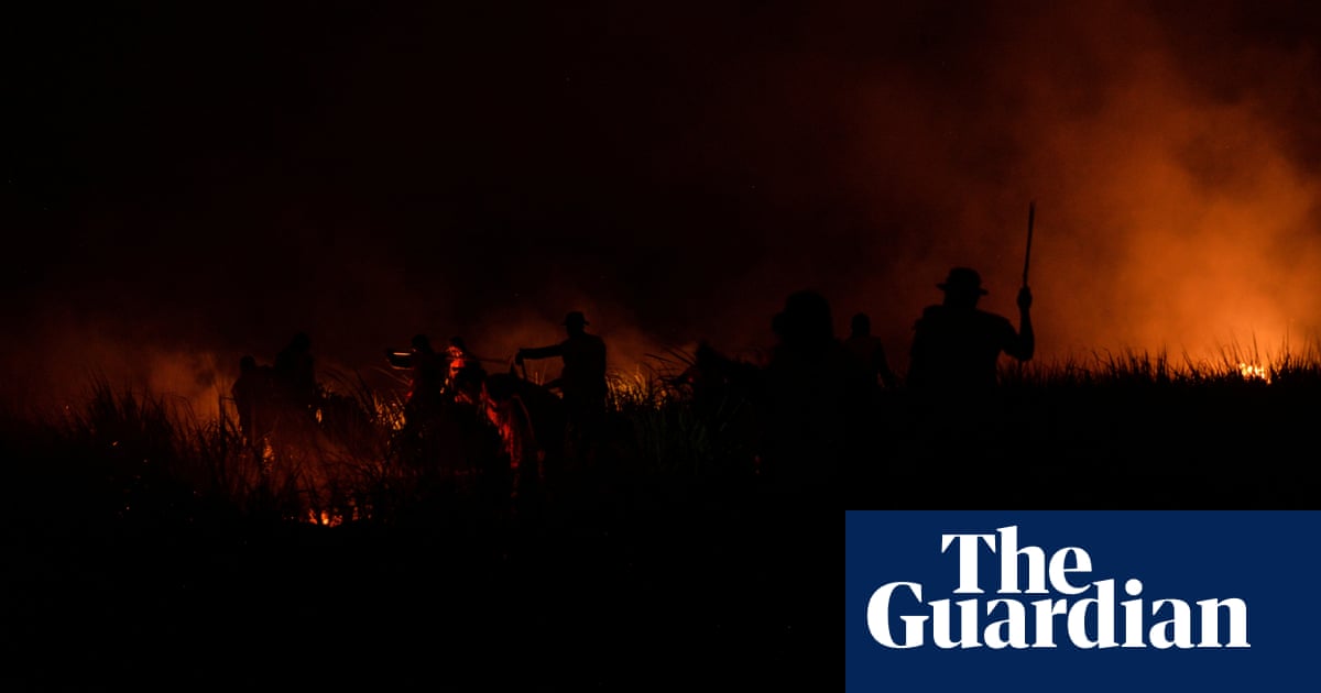 Guardian environment pledge 2023 | Environment | The GuardianBack to homepage