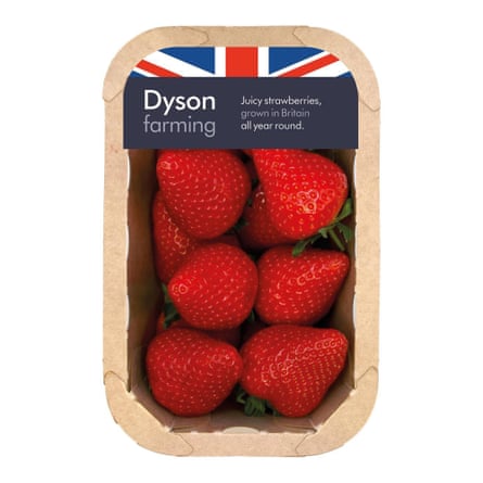 Dyson Farming British Strawberries from Ocado