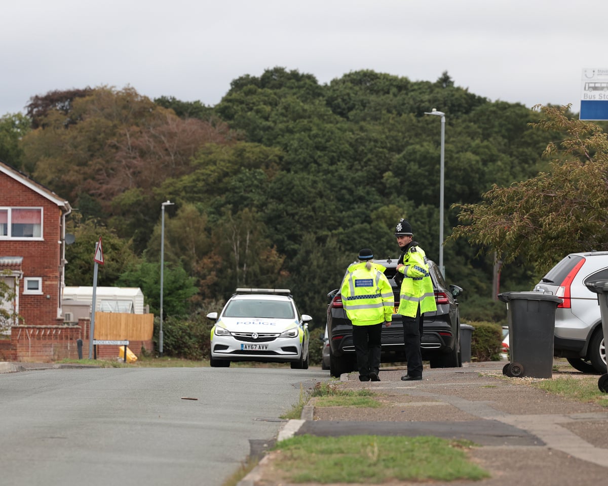 Police officers and a police car on a road in the village