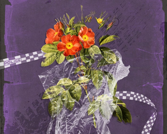 ‘Cannot believe it’s still happening’: readers respond to ‘heartbreaking’ domestic violence homicides