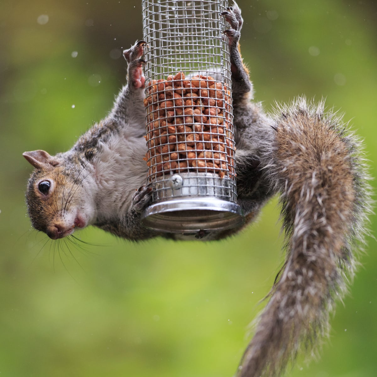 Tim Dowling Am I Finally Learning To Love My Enemy The