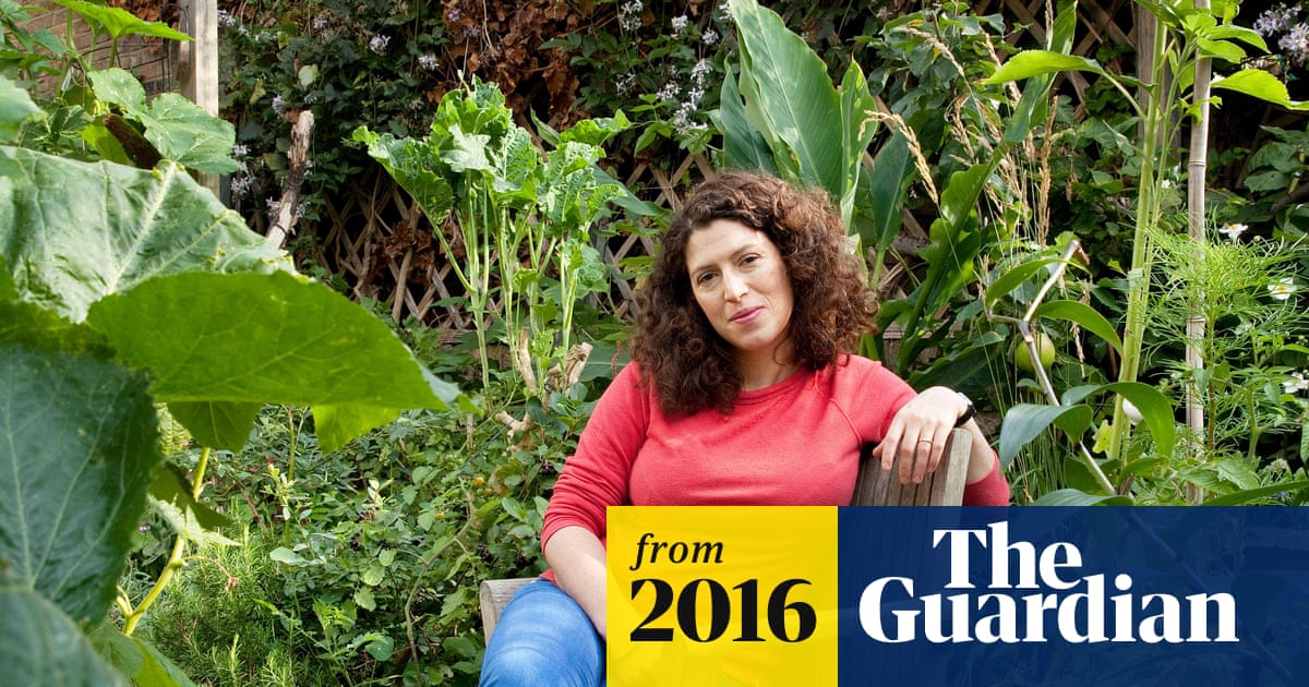 Salad days: how author Charlotte Mendelson transformed her patio into a garden larder