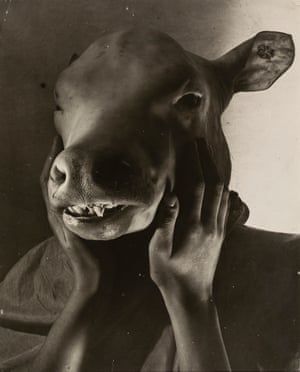 The Dictator: Paris, 1937In 1937, he entitled an image of an antique bust with a calf’s head The Minotaur or The Dictator. The image of the minotaur, a mythological monster with a man’s body and a bull’s head, was then fashionable among artists fascinated by man’s animality. This creature rapidly came to symbolise the brutality of the dictatorships that emerged in the 20th century.“But more than to anyone else, I owe a debt of gratitude to Schicklgruber, the Führer. Without him […] I would never have had the courage to become a photographer. […] Erwin Blumenfeld
