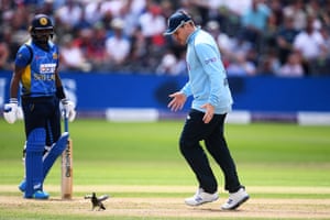 Jason Roy attempts to move the pigeon into a better fielding position.